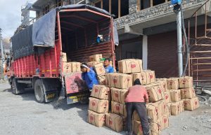 मुस्ताङमा यो वर्ष स्याउ बिक्रीबाट १.१० अर्ब रुपैयाँ आम्दानी