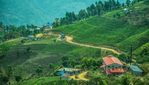 सेटलाइट कृषि फार्मका लागि ८०१ रोपनी जग्गा प्राप्ति