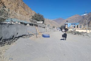 ७० करोडमा ठेक्का लागेको कोबाङ–जोमसोम सडक आठ वर्षदेखि अलपत्र
