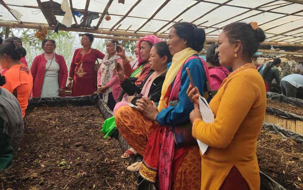 पौवादुङमा उद्यमशील बन्दै महिला
