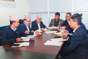 थापाथली–टेकु दोभान क्षेत्रका सम्पदा बचाउन गुठी संस्थानसँग सहकार्य गर्दै महानगर