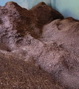 पातपतिङ्गरबाट जैविक मल उत्पादन गरेर ३५ हजार किलो बिक्री