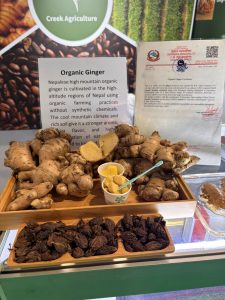 इलामको अदुवा र अलैँची दुबईको एक्सपोमा, नेपालको निर्यात सम्भावना थप बलियो बन्दै