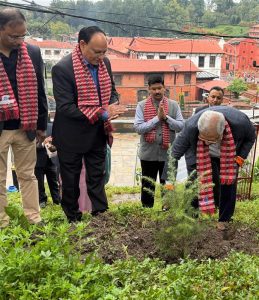 नेपाल एसबिआई बैंकद्धारा कैलाश डाँडाँमा वृक्षारोपण