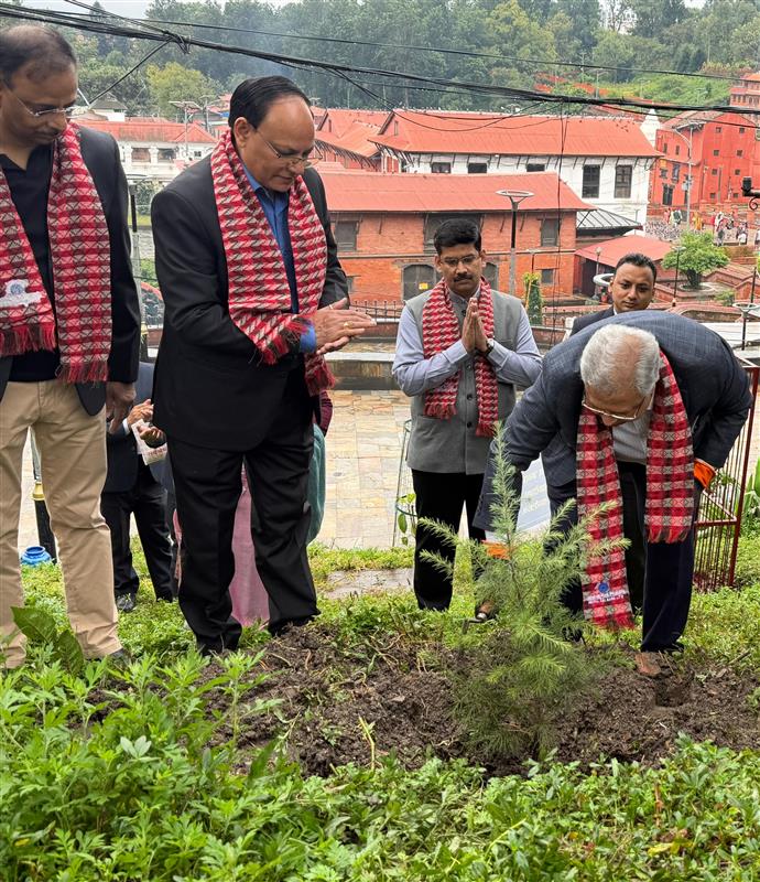 नेपाल एसबिआई बैंकद्धारा कैलाश डाँडाँमा वृक्षारोपण