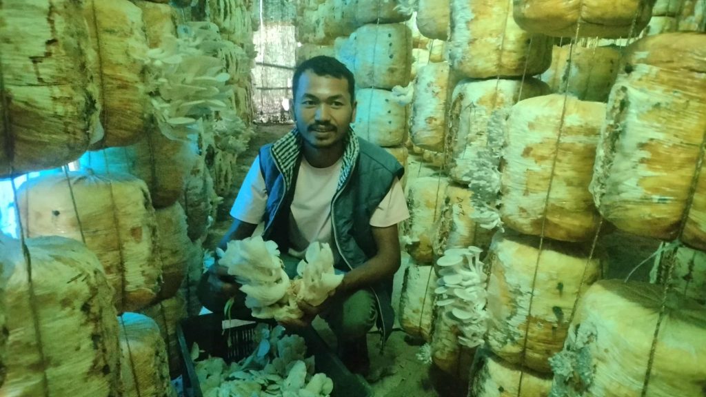 हाइटेक टनेलमा च्याउखेती, वार्षिक १० लाख रुपैयाँ नाफा