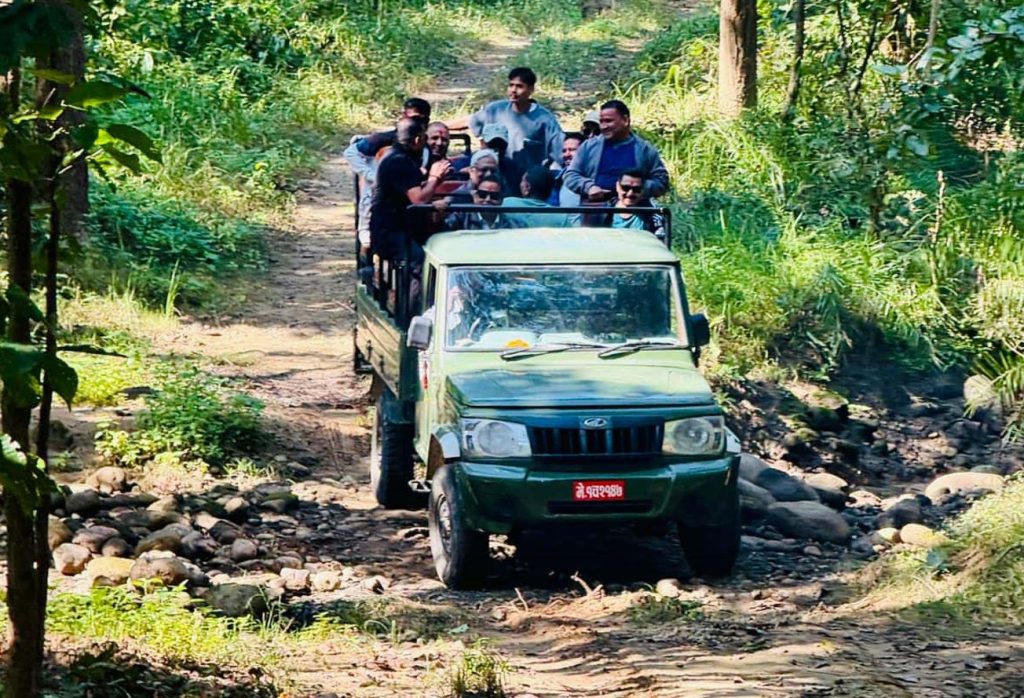 जङ्गल सफारीसँगै बाँके निकुञ्जमा पर्यटकको चहलपहल बढ्यो