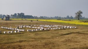 पाँच सय युवाले भविष्य खोजिरहेको महबाटै करोडको कारोबार गर्छन हमाल