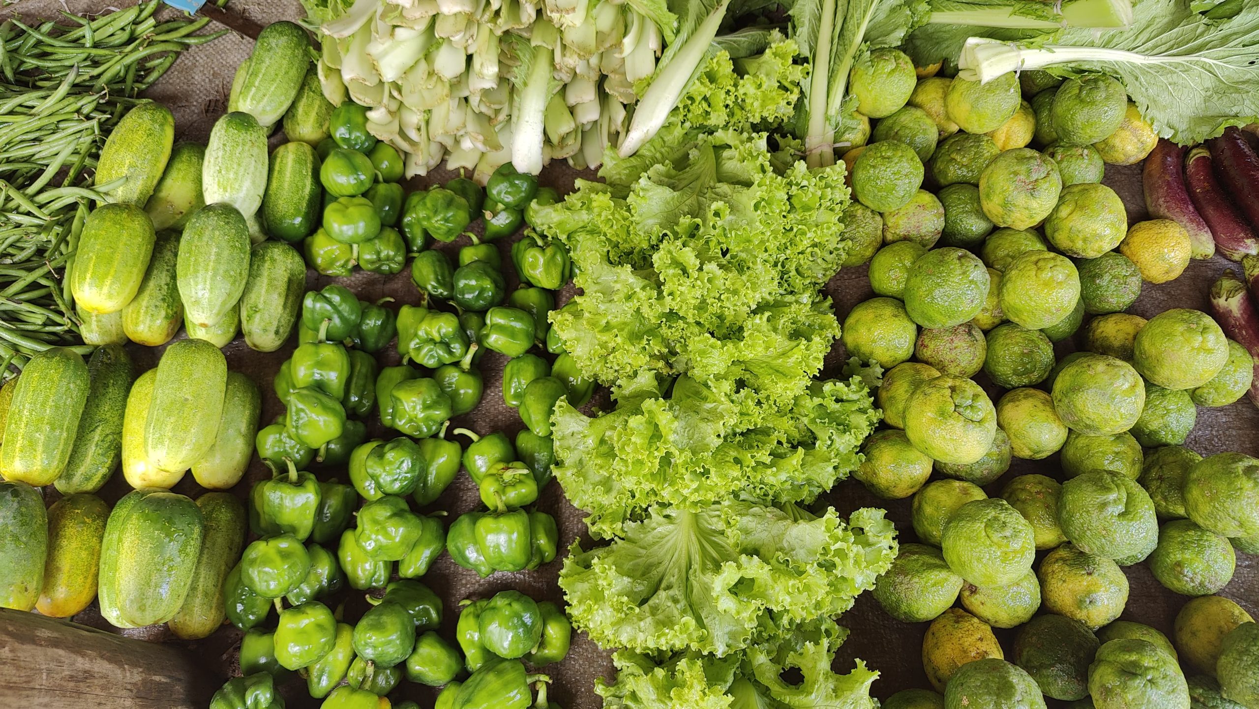 तरकारीको भाउ किन बढीरहेको छ ?