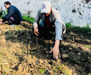 हरित विकासका लागि सन नेपाल लाइफ इन्स्योरेन्सद्वारा वृक्षारोपण