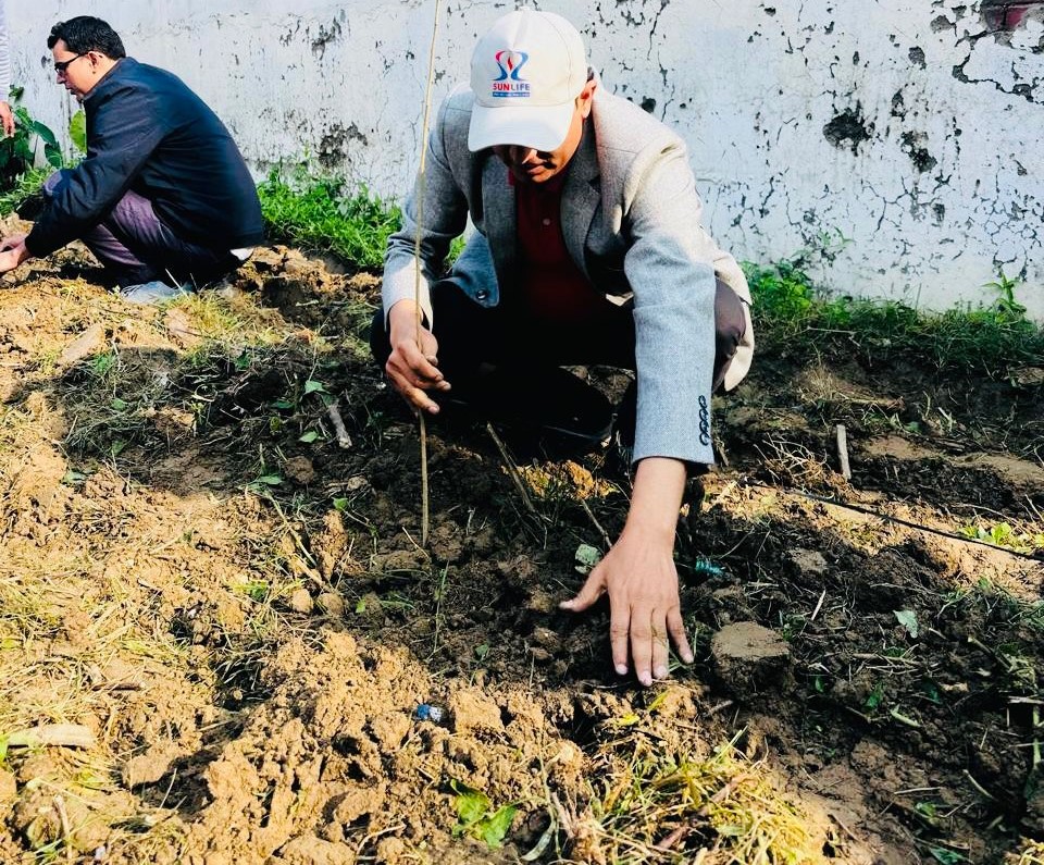 हरित विकासका लागि सन नेपाल लाइफ इन्स्योरेन्सद्वारा वृक्षारोपण
