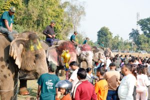 सौराहामा आजदेखि हात्ती तथा पर्यटन महोत्सव सुरु (तस्बिरहरु)