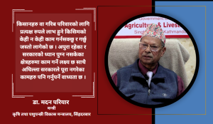 करिब पाँच लाख टन आयातको प्रकृया सुरु भैसक्यो, यो वर्ष मल अभाव हुँदैन : कृषि मन्त्री परियार (अन्तर्वार्ता)