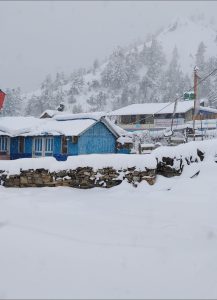 हिमपातले किसान खुसी, जनजीवन भने कष्टकर