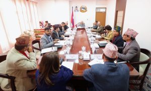 समस्याग्रस्त सहकारी संस्थाको दायित्व भुक्तानी सम्बन्धी कार्य गर्ने समिति सदस्यमा न्यौपाने मनोनित