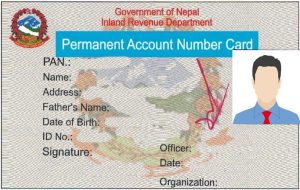 कम्पनीको प्यान नम्बर र प्रमाणपत्र सोझै डाउनलोड गर्न सकिने