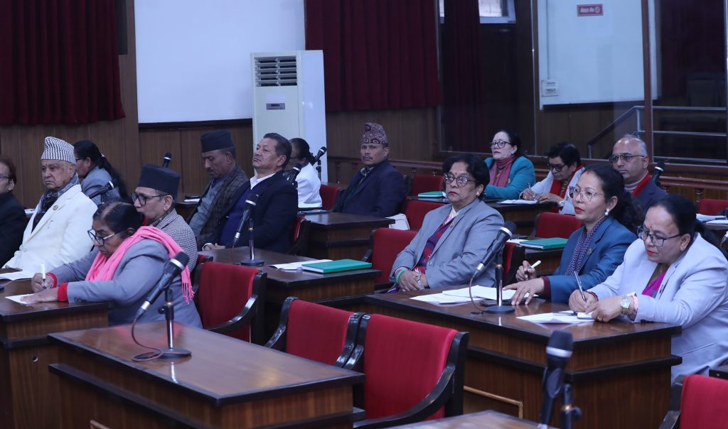 छानबिन गर्न गठित आयोगको प्रगतिबारे सदनलाई जानकारी गराउन माग