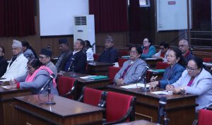 छानबिन गर्न गठित आयोगको प्रगतिबारे सदनलाई जानकारी गराउन माग