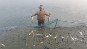 दुबईबाट फर्किएर माछापालन, १६ लाख रुपैयाँ बढी आम्दनी गर्दे शैलेन्द्र 