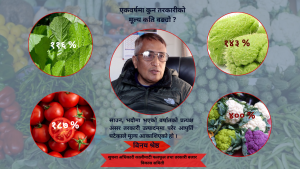 मौसमी तरकारीको मूल्य आकाशियो, थोक बजारदेखि उपभोक्तासम्म पुग्दा अस्वभाविक मूल्य अन्तर किन ?