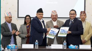 निर्वाचनमा हुने प्रविधिको दुरुपयोग रोक्न आयोग र टिकटकप्रतिनिधिबीच समझदारी