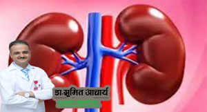 डायलाइसिसले मिर्गौलाको काम कसरी गर्छ ?
