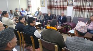 यी हुन् राप्रपाले सांसदमा सिफारिस गरेका व्यक्ति