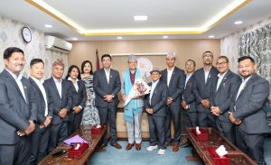 सभामुखसँग एनएफपिजेका प्रतिनिधिको भेट
