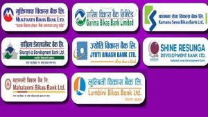 ९ महिनामा विकास बैंकहरूको नाफा ४९ प्रतिशतले बढ्यो, गरिमा शीर्ष स्थानमा