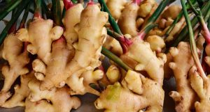 त्रिवेणी गाउँपालिकाले बेच्यो साढे पाँच करोडको अदुवा