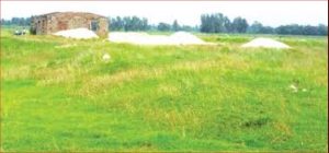 मणिपाल कलेज बनाउन खरिद गरेको ३५ बिघा जग्गा वर्षौँदेखि अलपत्र