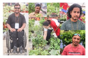नर्सरीमा नयाँ पुस्ता, वार्षिक करोडौंको कारोबार