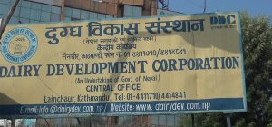 डिडिसीका कागजात प्रहरीको नियन्त्रणमा