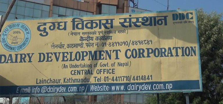 डिडिसीका कागजात प्रहरीको नियन्त्रणमा