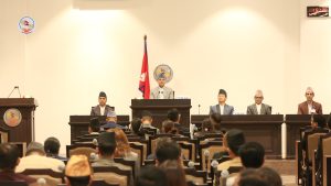 धान रोपाइँ नजिकिँदै, मल र कृषि सामग्री व्यवस्थापन गर्न सरकारलाई सांसदहरूको माग