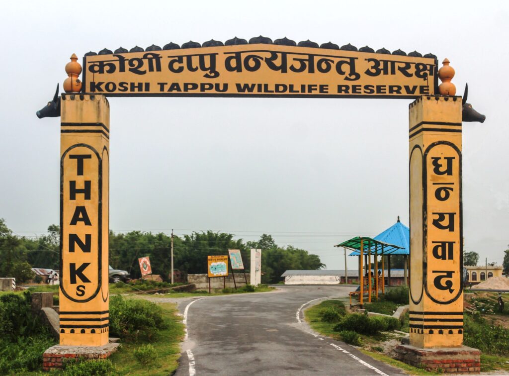 स्वदेशी–विदेशी पर्यटकको आकर्षण बन्दै कोशी टप्पु