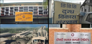 ४५ मध्ये २० संस्थानमा सरकारको शतप्रतिशत स्वामित्व रहेपनि शेयर हिस्सा भने घट्यो