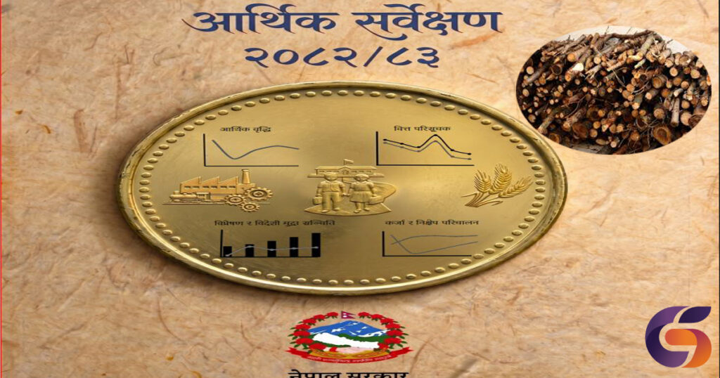 अझै पनि ऊर्जाको स्रोतमा दाउराको प्रयोग, ५१ प्रतिशत सम्म प्रयाेग