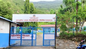 गाउँगाउँमा बढ्दै नसर्ने रोगको जोखिम
