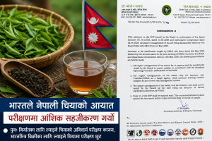 भारतले चिया आयात नियम संशोधन गर्‍यो, नेपाली निर्यातकर्तालाई राहत