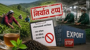 परीक्षणसम्बन्धी नयाँ नियमले चिया निर्यात ठप्प,वार्षिक ६ अर्ब वैदेशिक मुद्रा आर्जन गर्ने नेपालको चिया उद्योग ठूलो सङ्कटमा