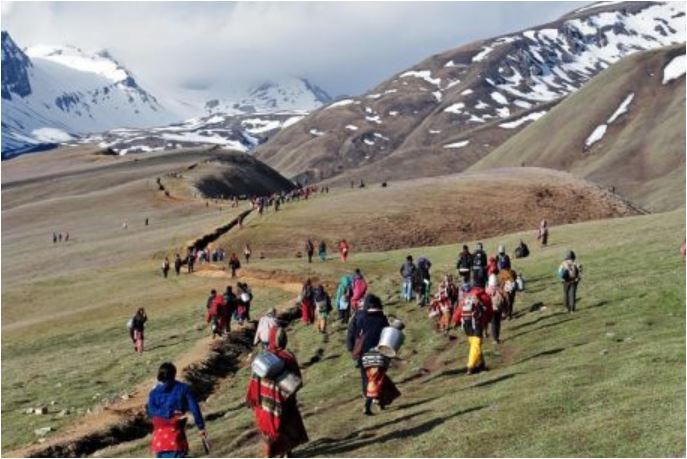 मुस्ताङमा यार्सा सिजन सुरु, उच्चलेकमा बढ्यो चहलपहल