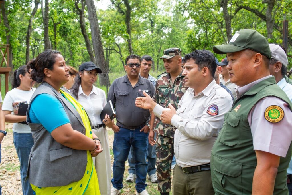 समस्याग्रस्त बाघ व्यवस्थापन गर्न ५० हेक्टरको ‘टाइगर सेन्चुरी’ बनाउने तयारी