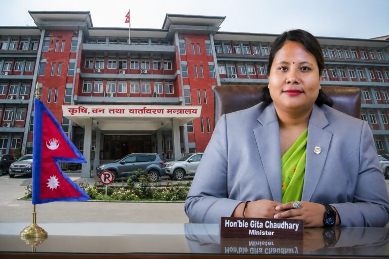 पहुँचवाला कर्मचारीको काठमाडौं बसाइमा ब्रेक, दुर्गममा अनिवार्य खटिनै पर्ने