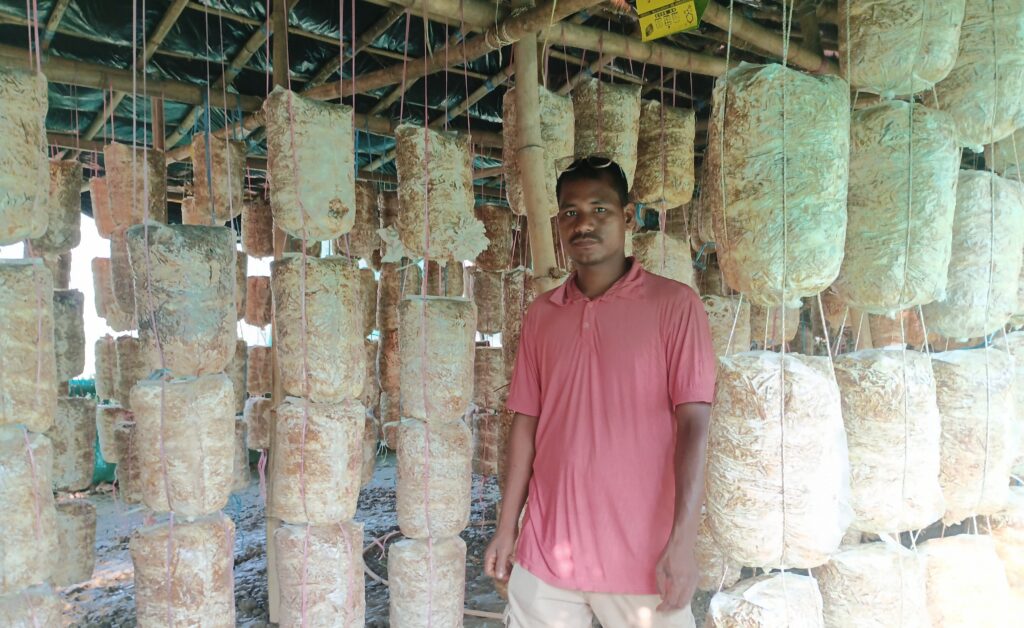 च्याउखेतीबाट वार्षिक १० लाख आम्दानी, चार जनालाई रोजगारी दिँदै मङ्गल चौधरी