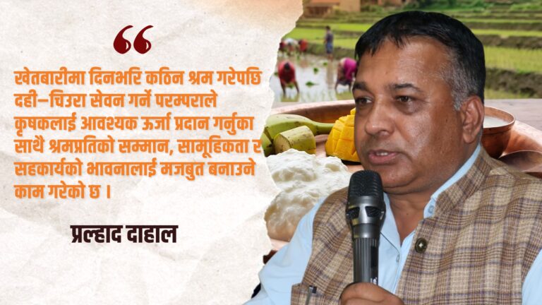 धान दिवसमा दहीको माग उच्च, एक अर्ब रुपैयाँको कारोबार हुने अपेक्षा