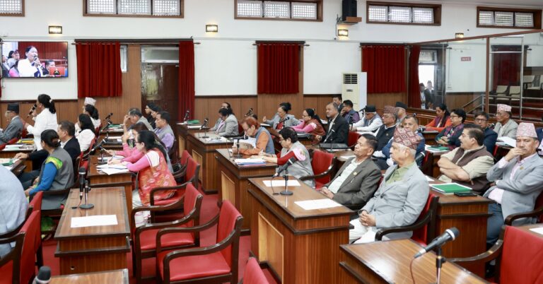 ‘बजेटको कार्यान्वयन गर्न स्रोत सुनिश्चित हुनुपर्छ’