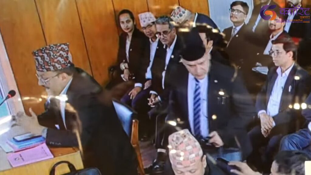 विष्णु पौडेललाई २० दिन हिरासतमा राख्न अनुमति माग, विशेष अदालतमा बहस जारी