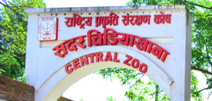 बर्डफ्लु जोखिमपछि जावलाखेल चिडियाखाना दुई साताका लागि बन्द