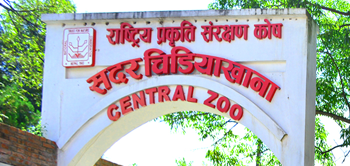 बर्डफ्लु जोखिमपछि जावलाखेल चिडियाखाना दुई साताका लागि बन्द